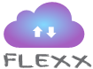 Flexx Logo